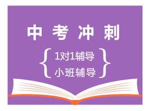 中考冲刺