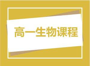 高一生物课程