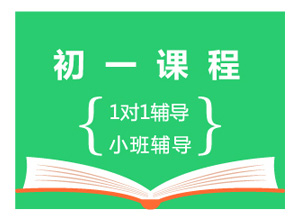 初一年级