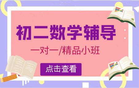 初二数学辅导