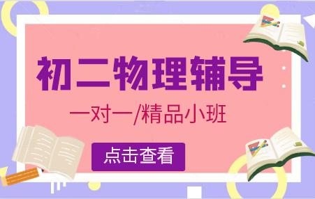 初二物理辅导