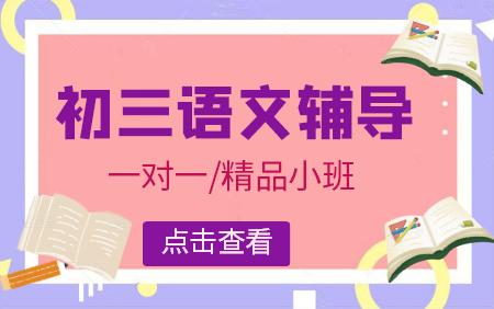 初三语文辅导