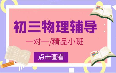 初三物理辅导