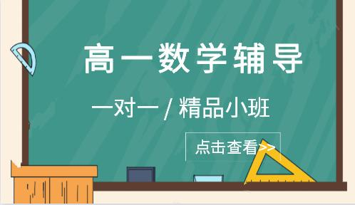 高一数学辅导
