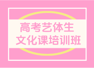 高考艺体生文化课培训班